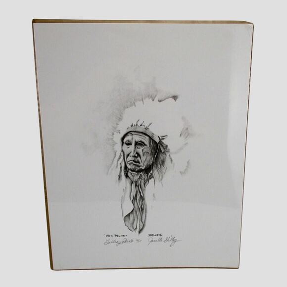 Indian Art Print Iron Plume #12 of 15 by Janelle Gilley Indian Chief Headdress - Picture 1 of 5